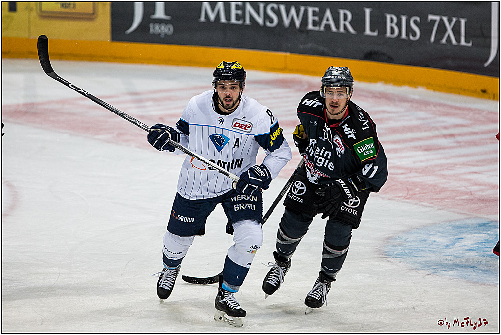 Koelner Haie - ERC Ingolstadt, 23.10.2016